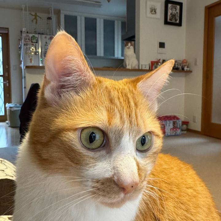 48a6b22b ab6e 4798 88be 9a9b149f9227 1771382672662