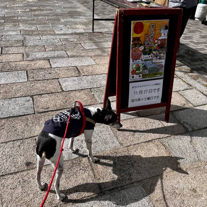 48a6e219 70c1 4449 b437 3ea360157ef5 1634971197979