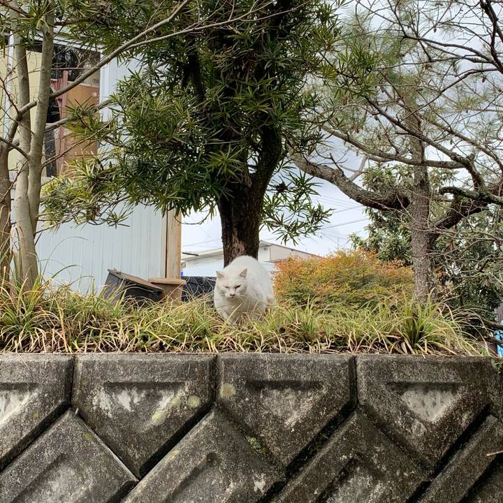 48a70fc5 e12b 4484 895a e7104cbb2c86 1624271583446