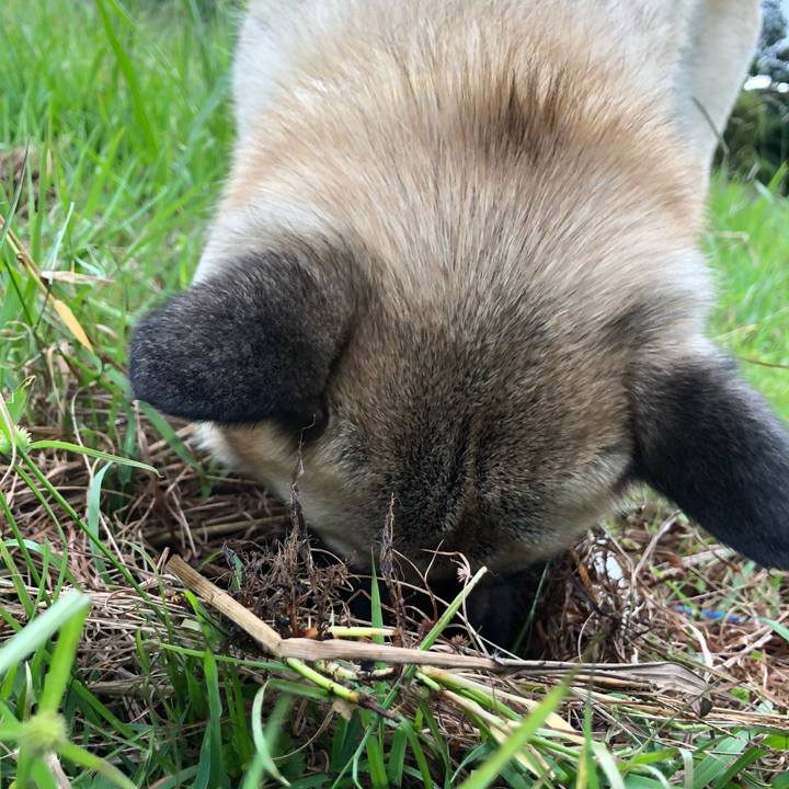 48a72d15 3182 4bc3 b341 b3c46a429f12 1569327315776