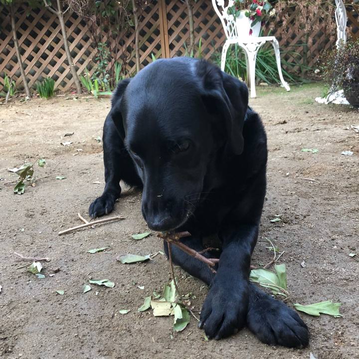 48a7329f 2304 473d aafa b7d118a91ea8 1614741208166