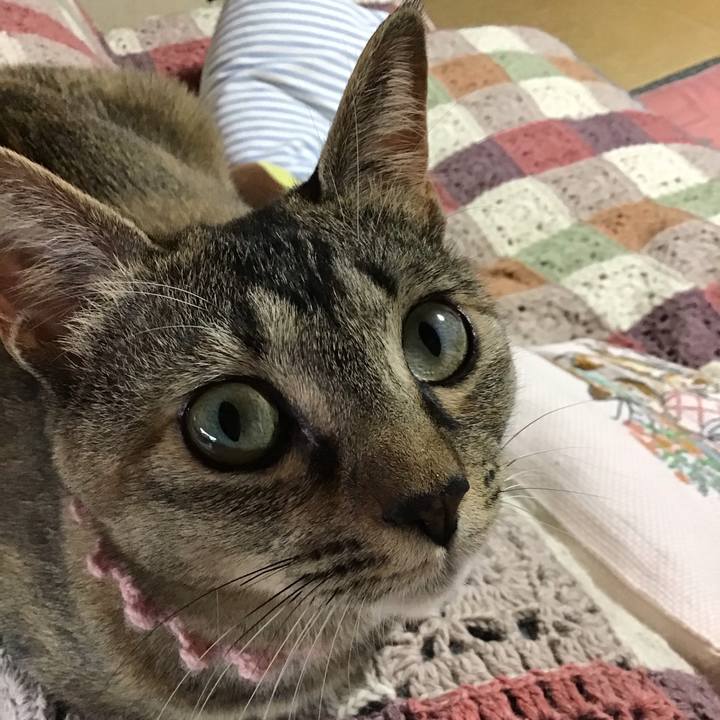 48a73c53 8476 44bc 8711 b3e4c279e120 1591154776869