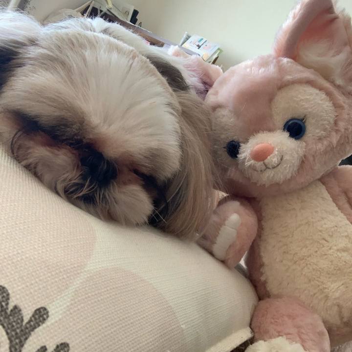 48a766f6 0d5c 4060 8128 f414e7123580 1672730513494