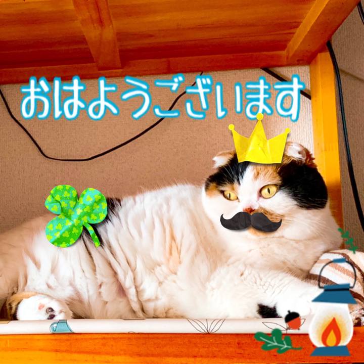 48a798a4 5882 4d9a a1f8 d21e46a668b1 1563657532915