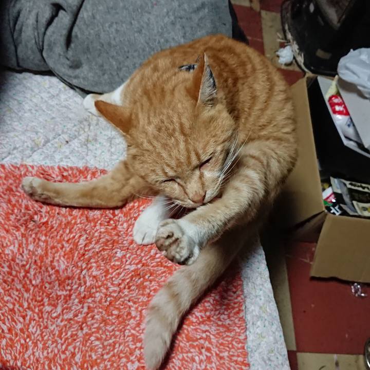 48a7b189 fdac 4dfc 9507 e6fd9ece20c6 1573938763391