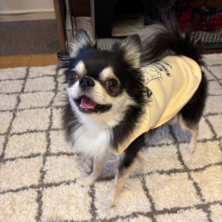 48a7b36f 165d 4020 bf3b 1ee809fcbdf8 1737302579647