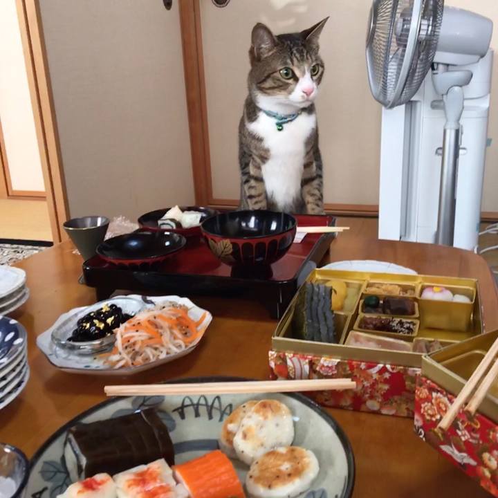 48a7ccd7 4f4d 43a6 a6a0 2b5062f854f5 1672604157781