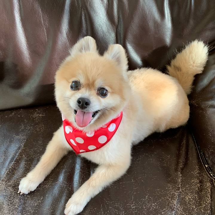 48a81e02 0ccb 44fb b345 c79421da38c1 1628841356004