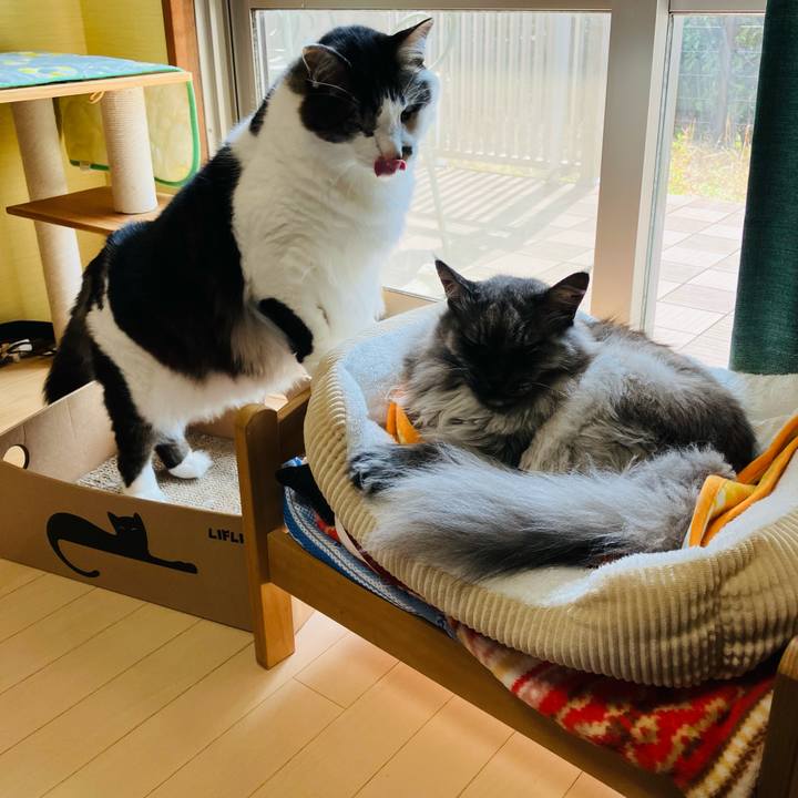 48a83b59 0ca2 4274 a717 26df08a8e5f4 1741856703393