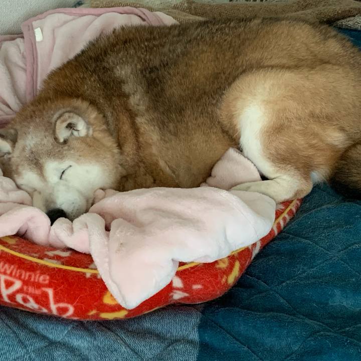 48a8466e 1c7c 40b1 96f0 2adee63b3418 1677062543561