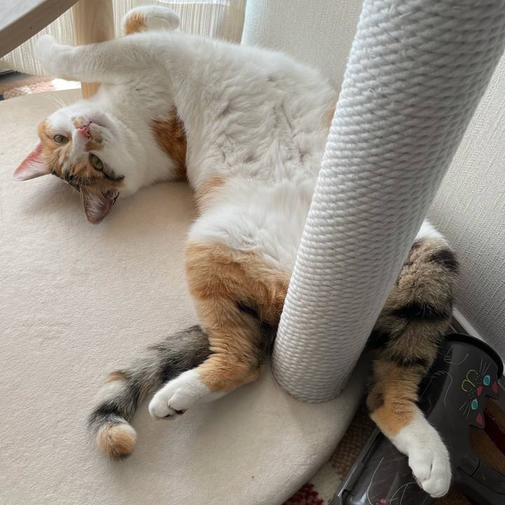 48a88489 8adc 44bf 838d c4a53261b434 1622173678443