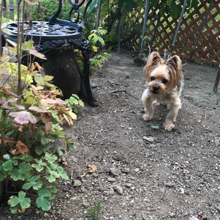 48a891dd 6b37 498c a97e 4ba027f0527d 1754652129313