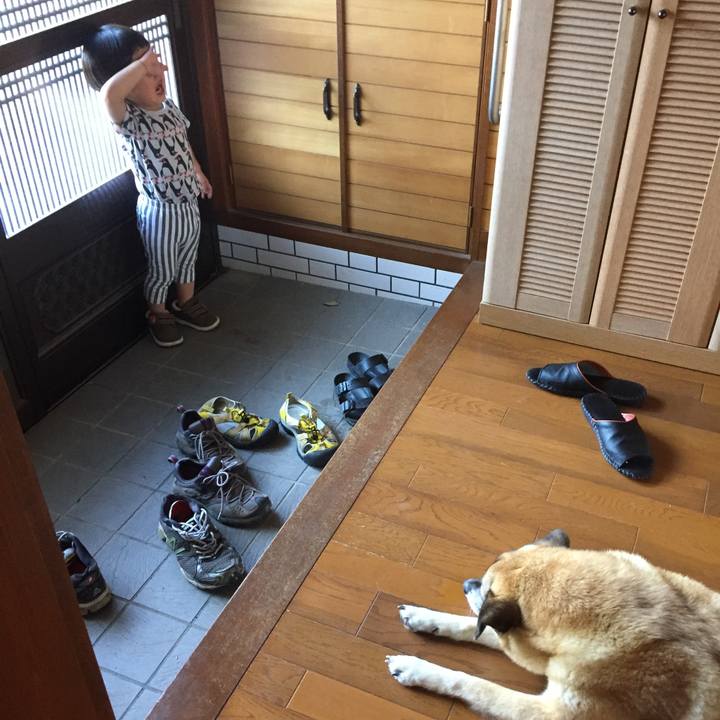 48a8cb63 0cac 4a5c a957 4e58f347419e 1527915519425