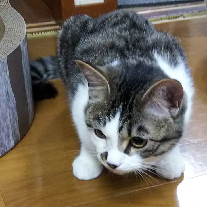 48a8e43b 071f 4f11 b930 af566969d418 1616163582086