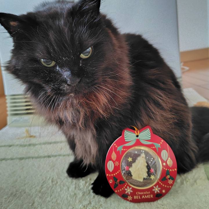 48a90eee 554c 4f03 9543 5359fa0ce4e9 1766617235292