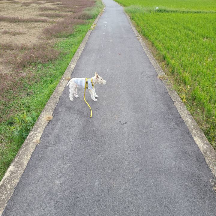 48a91004 6258 42af a754 cb7c852af056 1696669536833