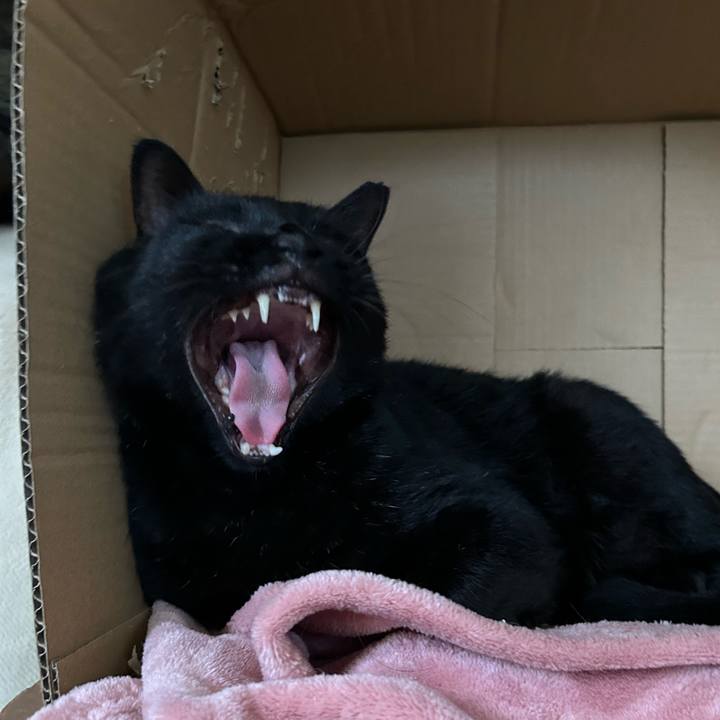 48a937be 925f 4831 824a 7d245b9361e9 1728391680031