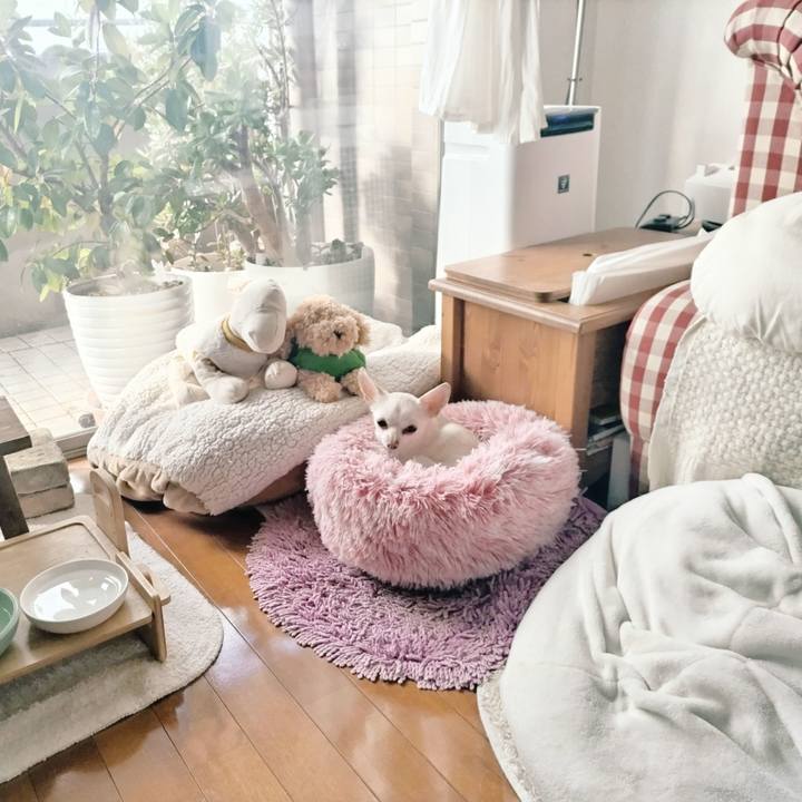 48a9642c dd44 4b4d b44b e821e7ecd57c 1772943092797