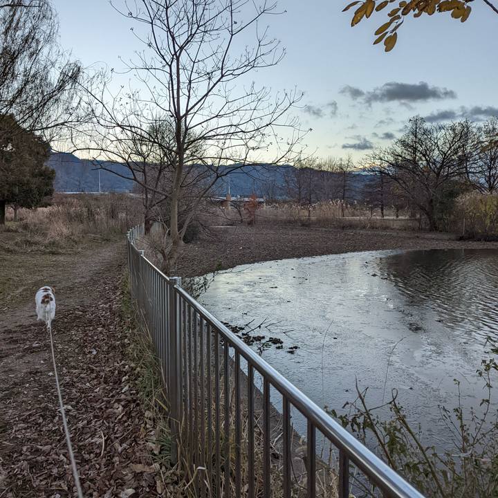 48a98561 b20e 42c0 9be1 7be8fbd0d1f6 1640568928495