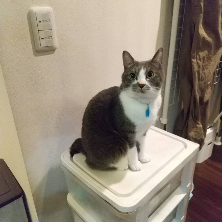 48a99247 e960 4163 9792 cee94a2fb259 1643664976367