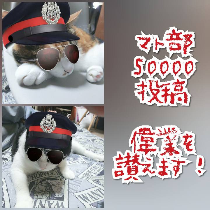 48a9a64f 17da 48fb 8a5f c6c80426512a 1566655735754