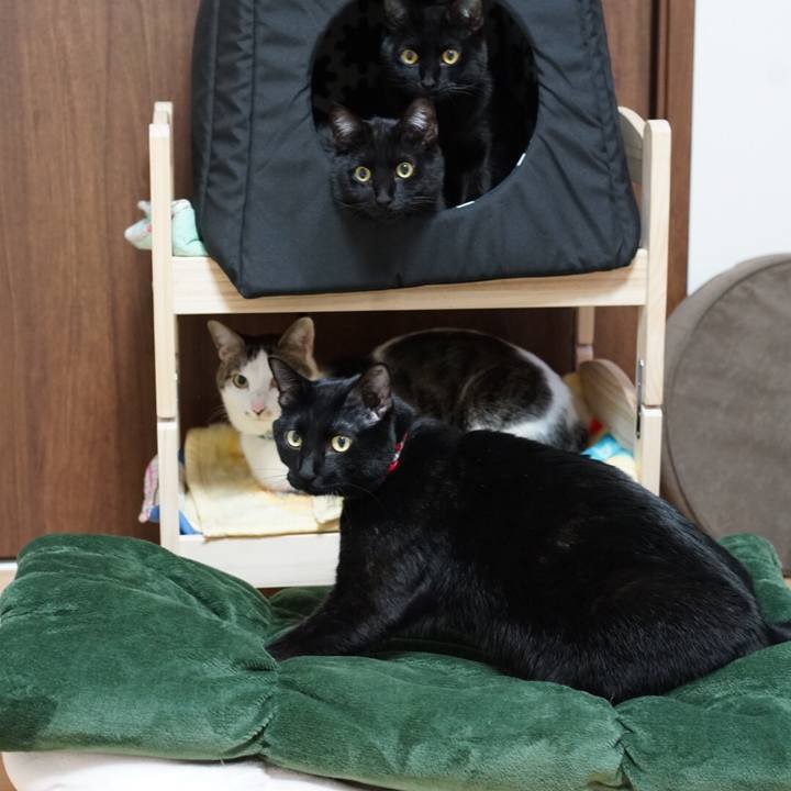 48aa0c06 3c9b 4b92 8060 4d39b2db6735 1516318363585