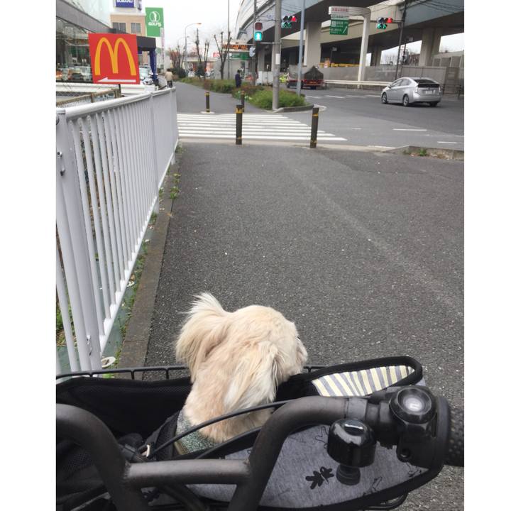 48aa2145 05f3 4e8a 901c f97a8ed9133b 1521187123857