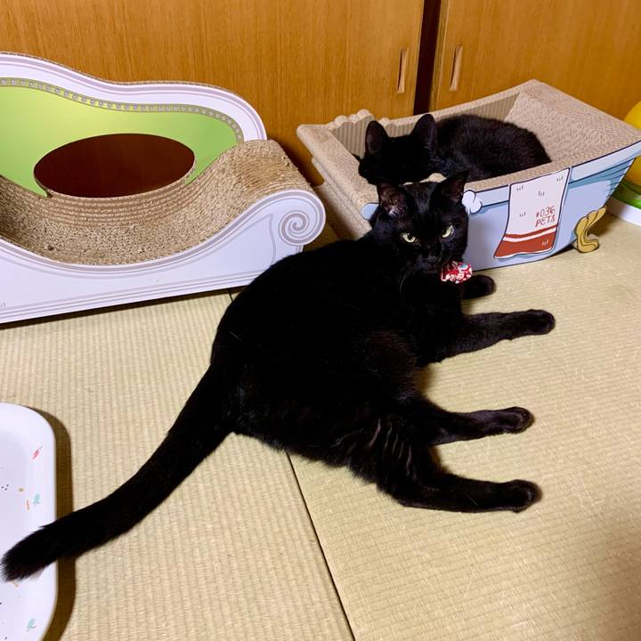 48aa707d 1ef5 406f 977f 790dc37e7b71 1624715508181