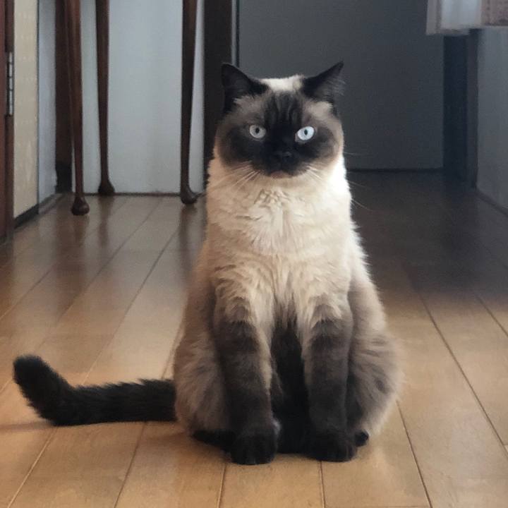 48aa9532 3561 4a95 8e21 bacdb7fc4d48 1626995432588