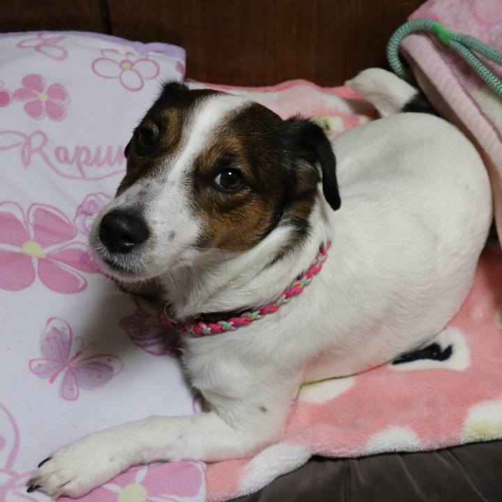 48aab500 ab76 43a4 b6fc 9c11ddd25ae8 1515322441827