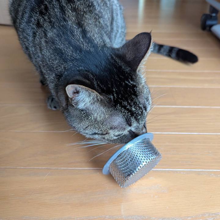 48aadb9c cd6c 484e 9789 e669bbca1b32 1747641644013