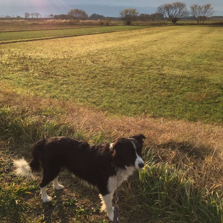 48aafdf8 92bf 435b b01a 0b40104c9c06 1576283498063