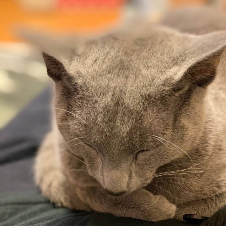 48ab0722 d47f 4663 bb51 74d275b3875a 1610364204885