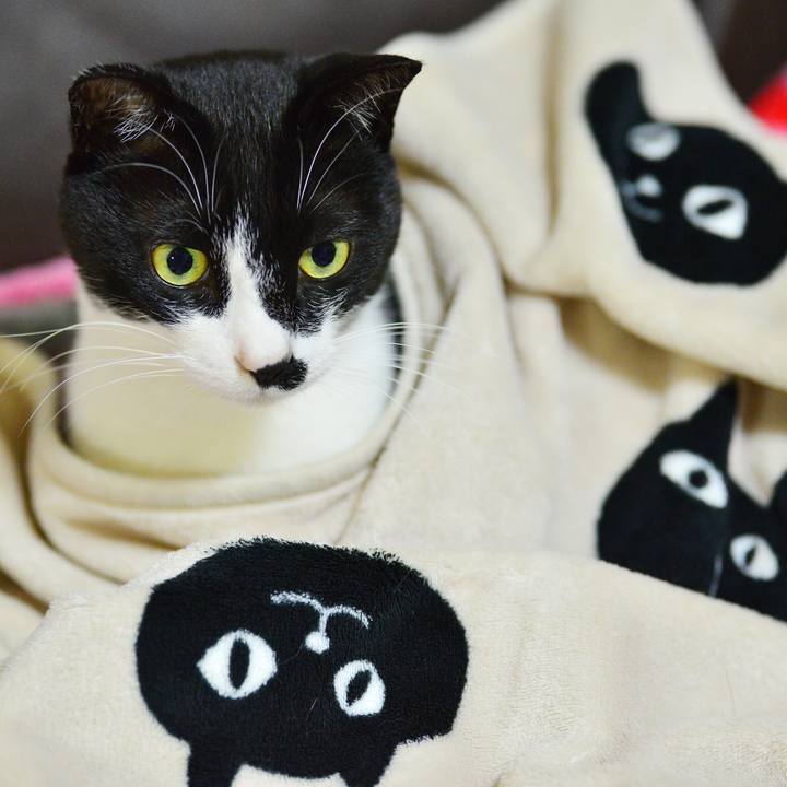 48abde91 d017 4f7f 8565 42ddce242c7f 1549068761867