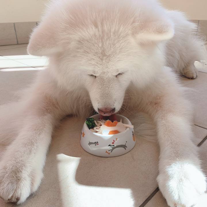 48ac4ca9 6456 409b ae8f f3b248d1388f 1605414488543