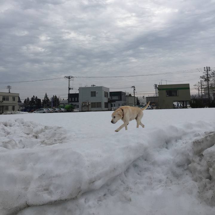 48ac5554 403a 4530 8afa 21d009f63f1f 1520205330664