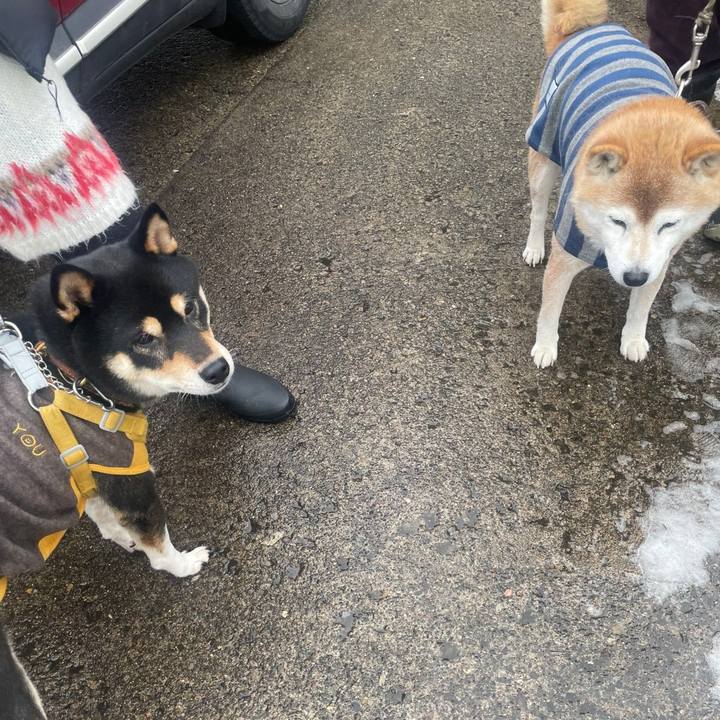 48ac7748 487c 4e10 8d3a 5eb58dcfae60 1707208219757