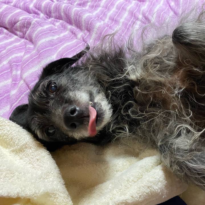 48acf1cb 609a 4b2e 8080 fb658878920f 1687387018764