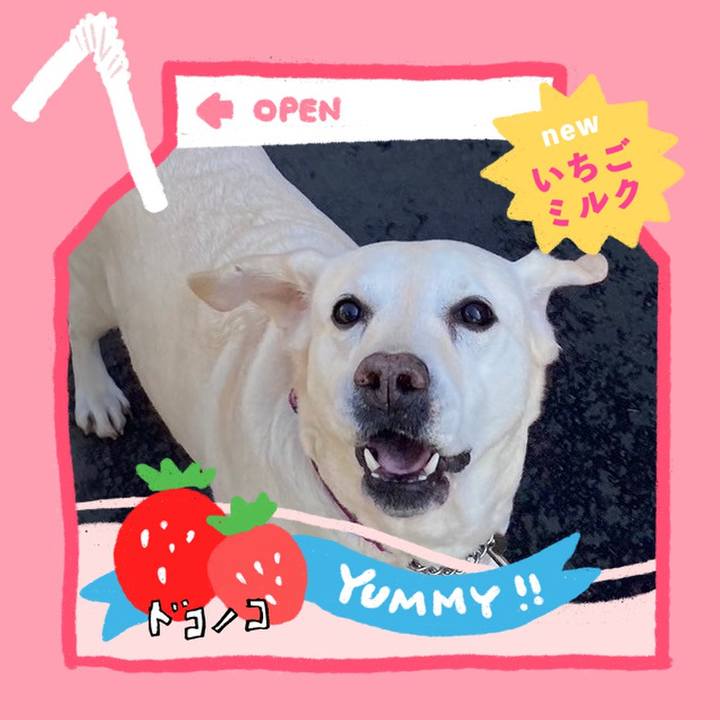 48ad657a 80a6 4796 9699 75b2585cf054 1711172290445