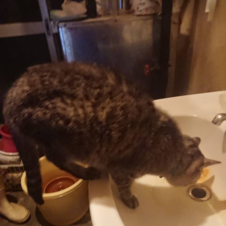 48ad7270 7f73 4638 a502 705c6dd4af4b 1572294790543