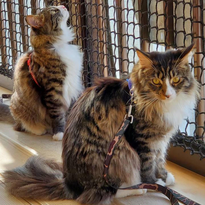 48adb20a 5b76 48cf 8660 629e1ad4b75e 1679811718789