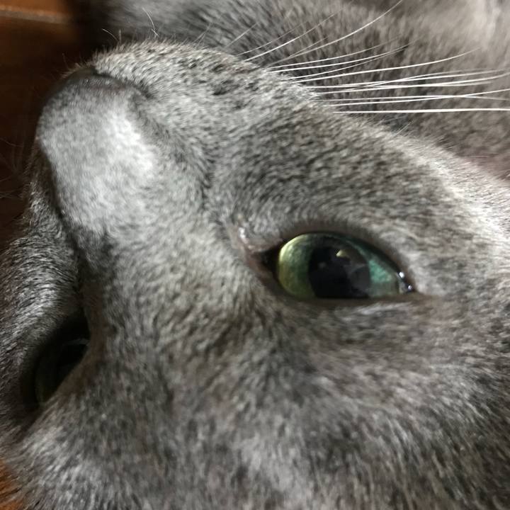 48add19f 2a8e 48b6 a766 ef5ac733212a 1532125680174