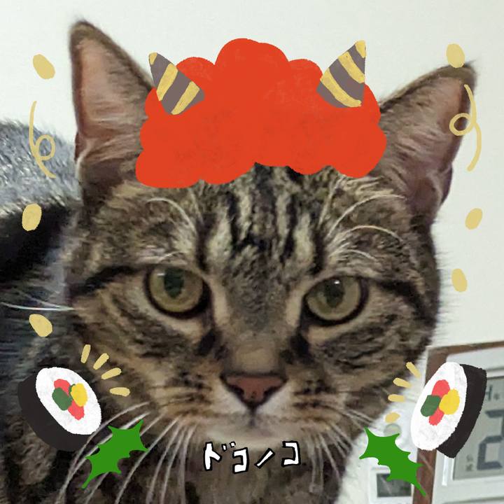 48ade7e5 9a15 4927 a645 6ae797c1dffb 1707004405000