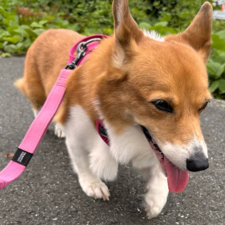 48ae3fe5 4f10 417b bcda 44b978f9c638 1728269407904