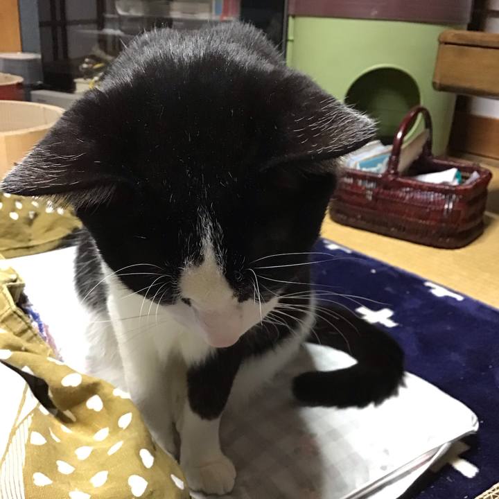 48ae4d2b efe2 4542 b1e8 00f0f27ae08b 1709802591702