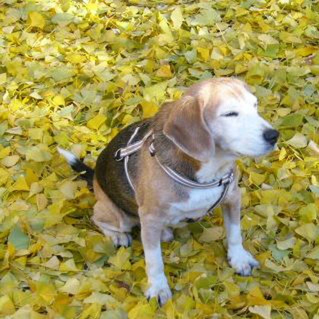 48ae51e2 220a 4319 bfc4 d284660c5498 1648343260929