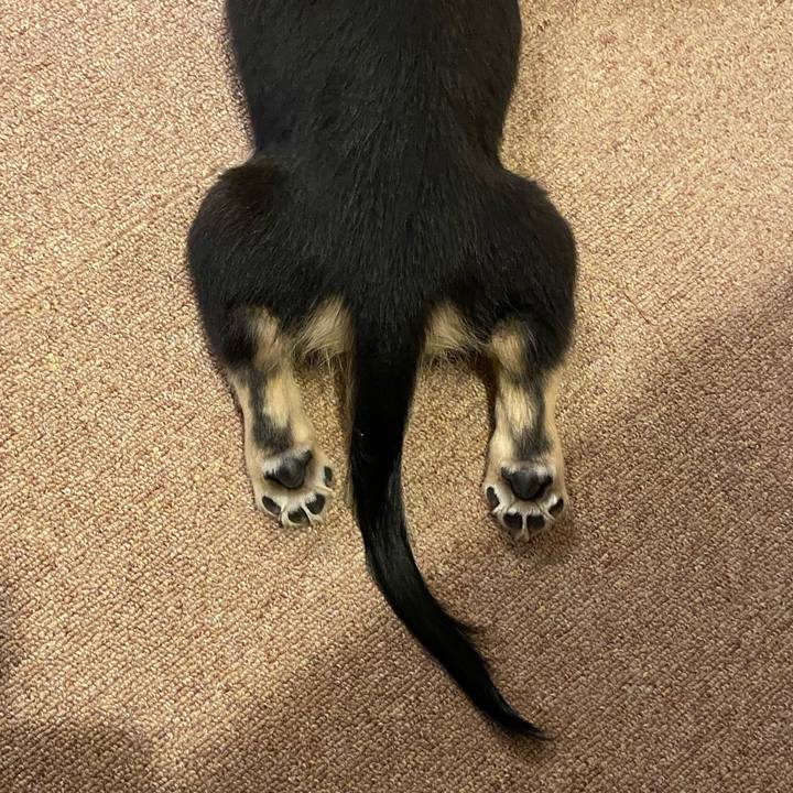 48ae81c7 0204 44c6 8c60 cbf9b13bed97 1669172543294