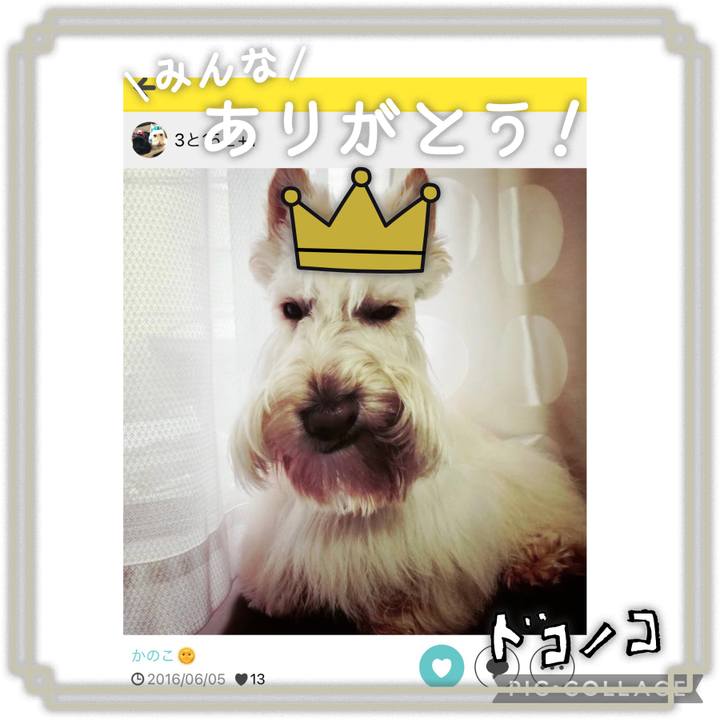 48aebe0c ca24 4f36 8011 0821268731bf 1622867223783