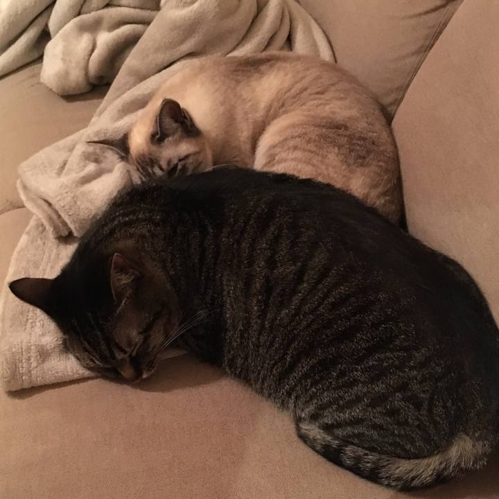 48af1c08 bc2f 4479 8fad 68397e033823 1555322368023