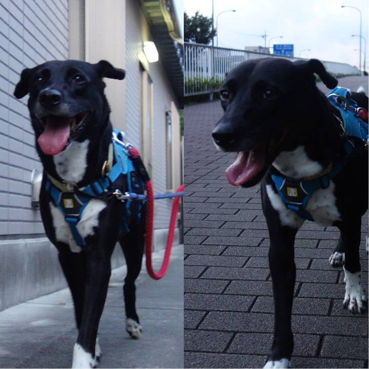 48af2fec 3e03 4ef9 9fa9 38887e5cdcd6 1627123831047